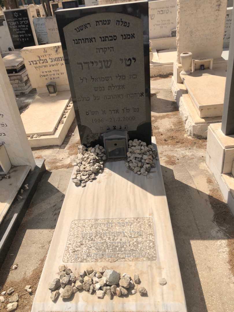 קברו של יטי שניידר. תמונה 1