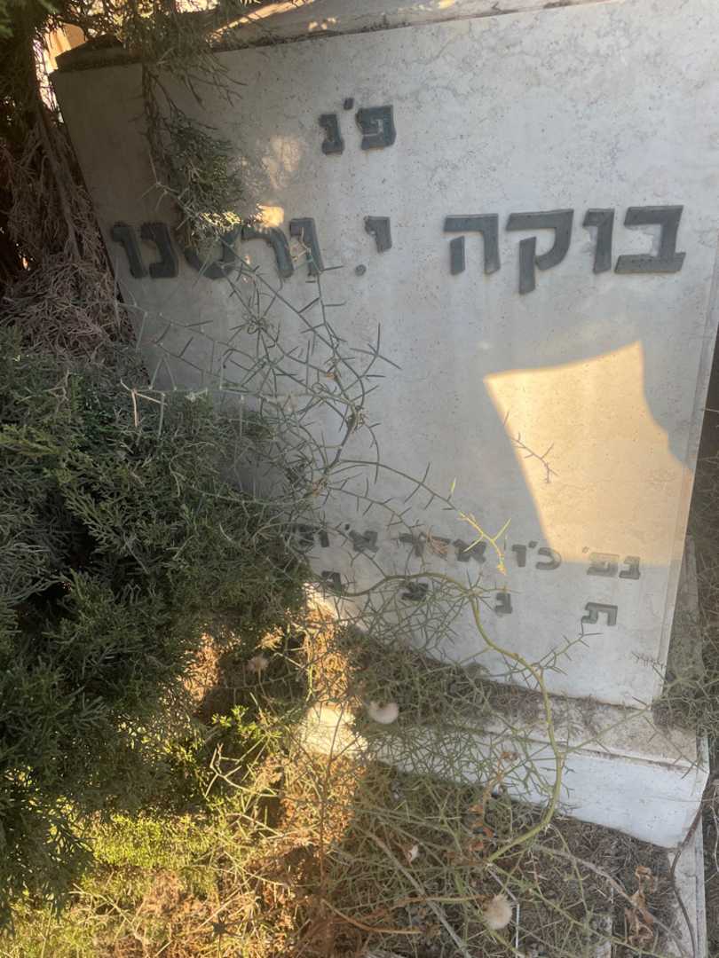 קברו של בוקה י.ורסנו. תמונה 2