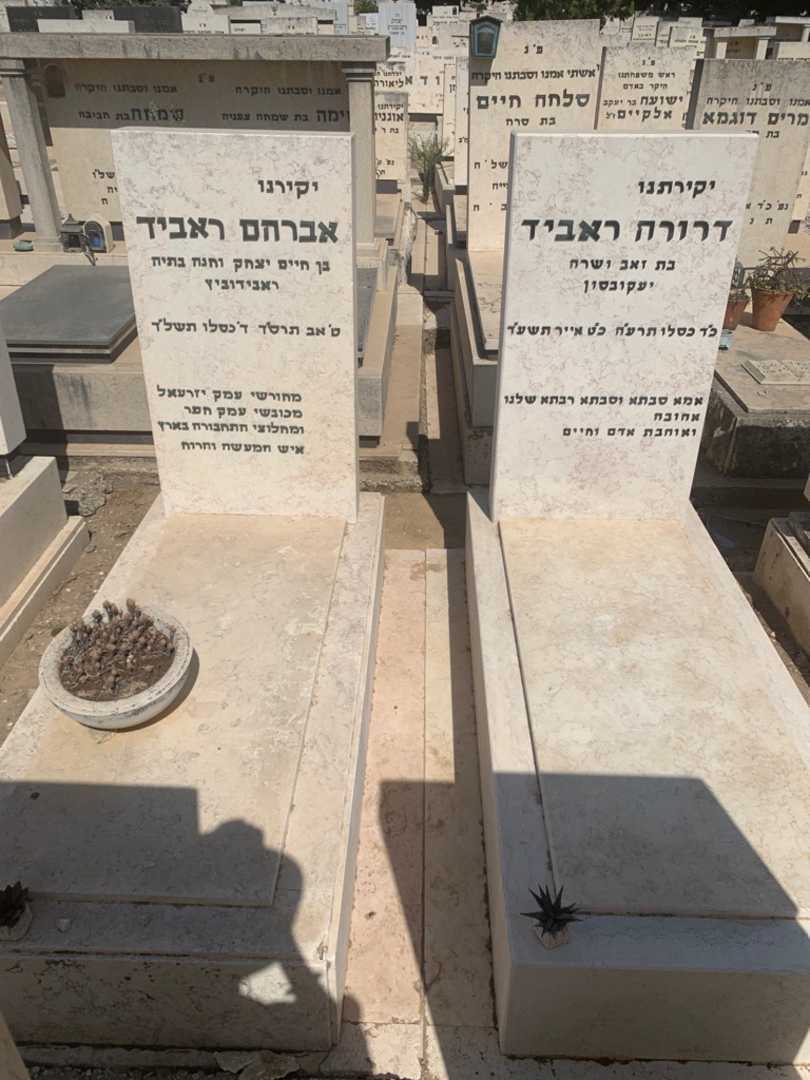 קברו של דרורה ראביד. תמונה 2