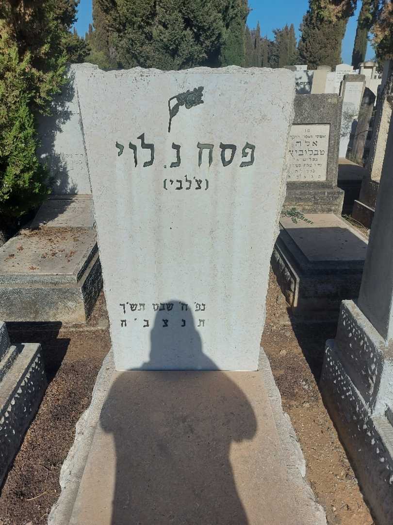 קברו של פסח נ.לוי (צ'לבי)