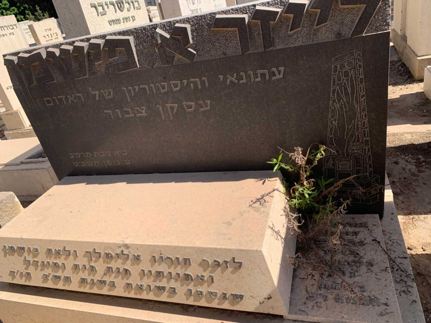 קברו של לייזר א.פישמו. תמונה 4