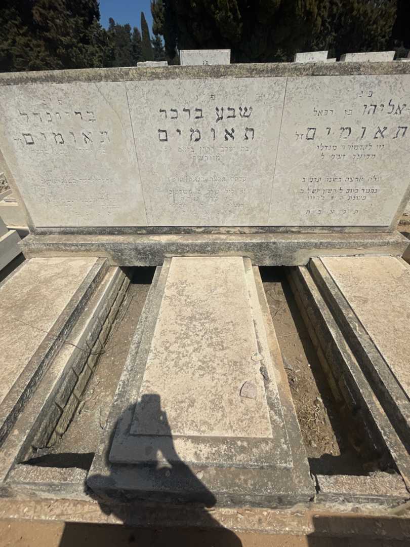 קברו של שבע ברכה תאומים. תמונה 2