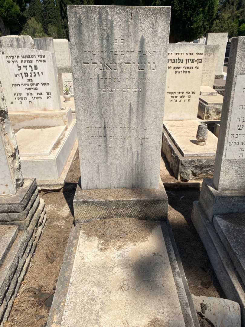 קברו של גושיה נאגלר