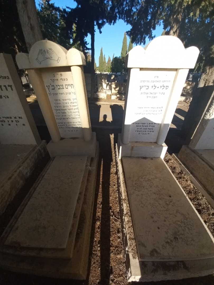 קברו של חיים צבי כ"ץ. תמונה 2